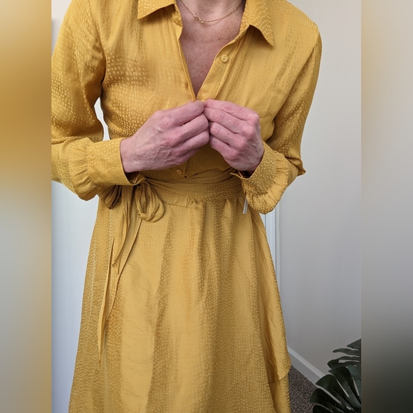 Shirt dress in Butterfield. Size xs. From 1.State. - Picture 2 of 5